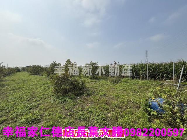 鹽水農地-8