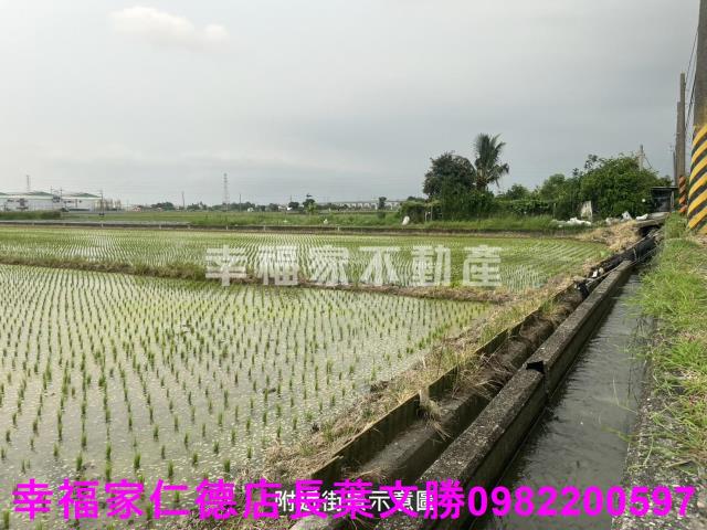 台南官田農地-10
