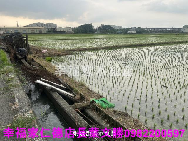 台南官田農地-5