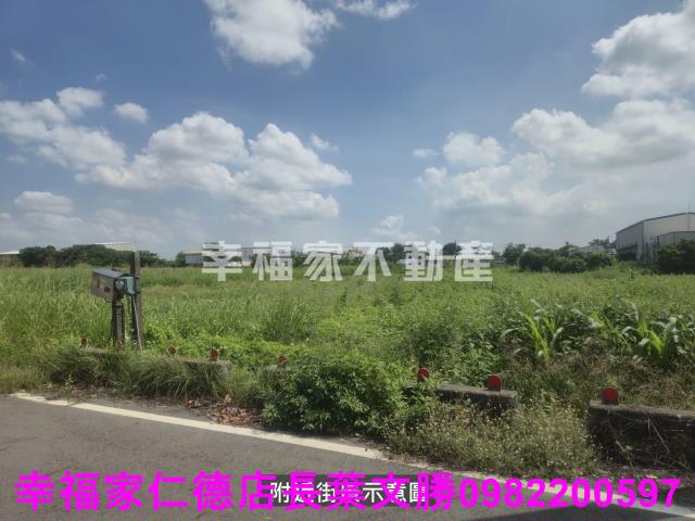 台南善化農地-12