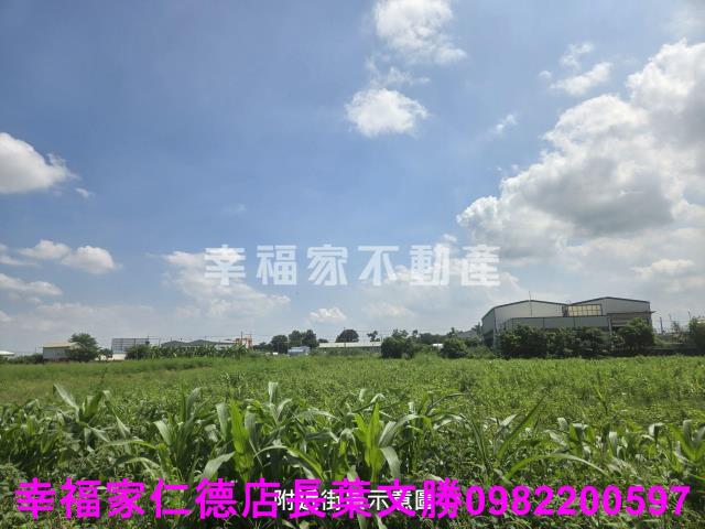 台南善化農地-2