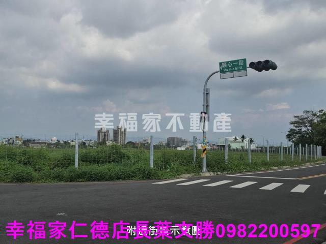 台南善化農地-5