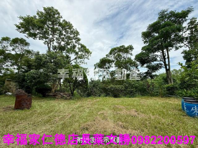 台南新化農地-12