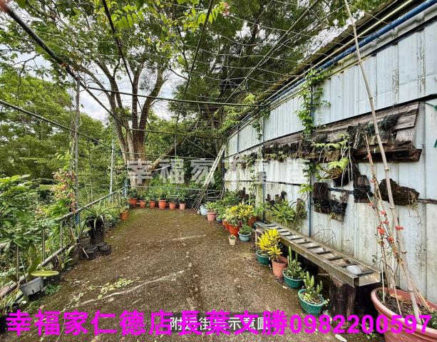 台南新化農地-3
