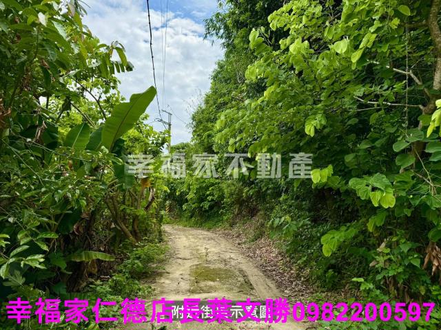 台南新化農地-5