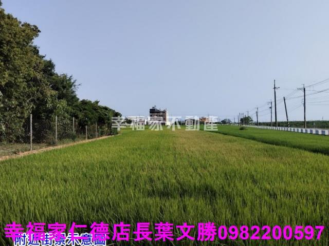 台南農地-11