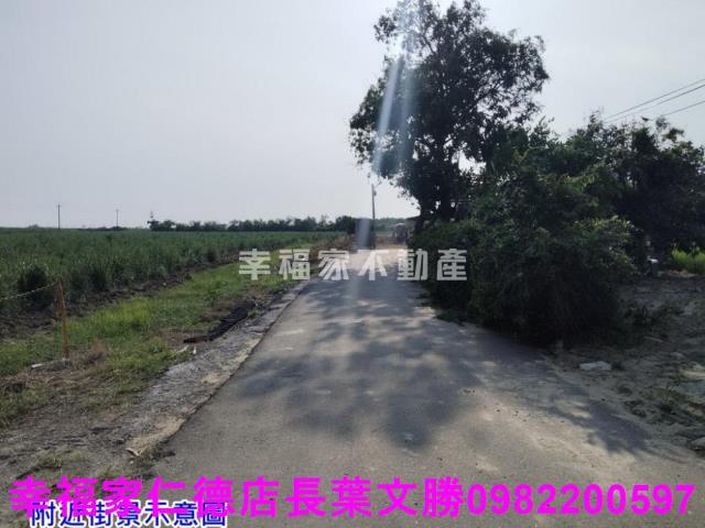 台南農地-4