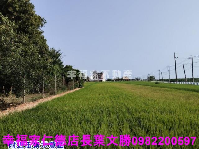 台南農地-7
