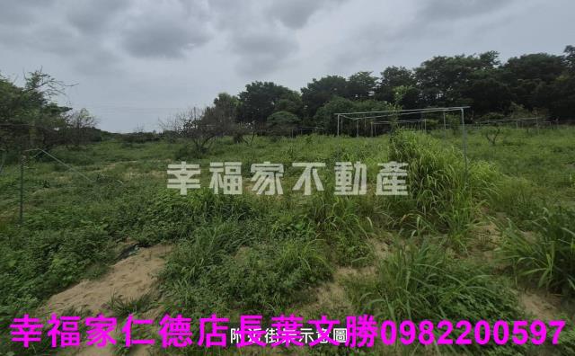 台南農地-11