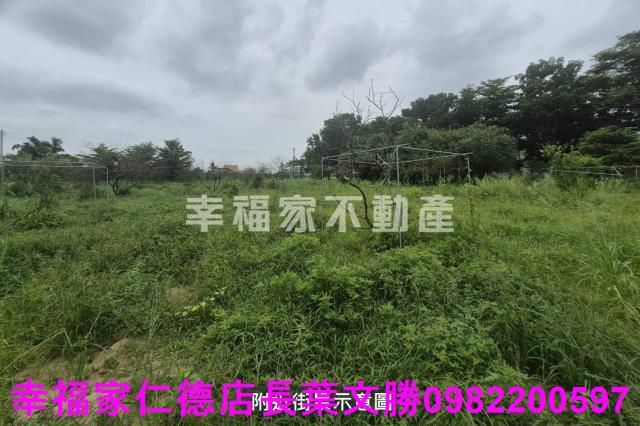 台南農地-5