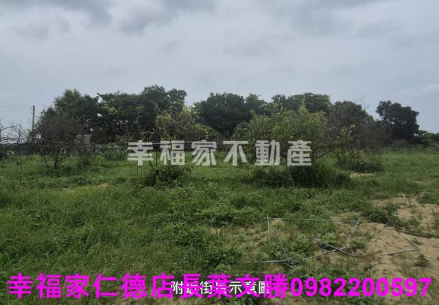台南農地-8