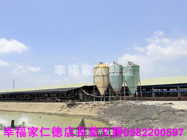 高雄路竹農地-5