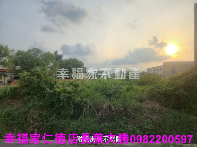 善化農地-1
