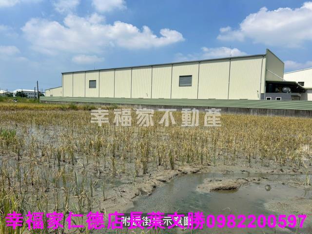 仁德農地-9