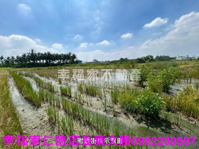 仁德農地-12