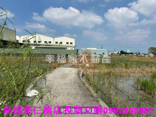 仁德農地-13