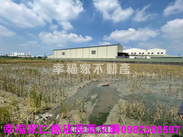 仁德農地-14