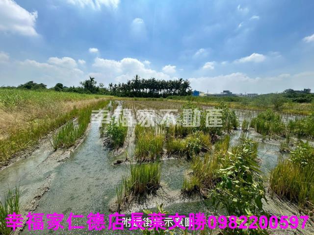 仁德農地-0