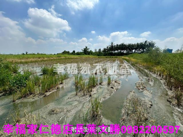 仁德農地-5