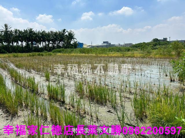 仁德農地-6