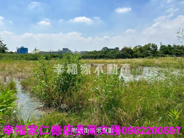 仁德農地-8