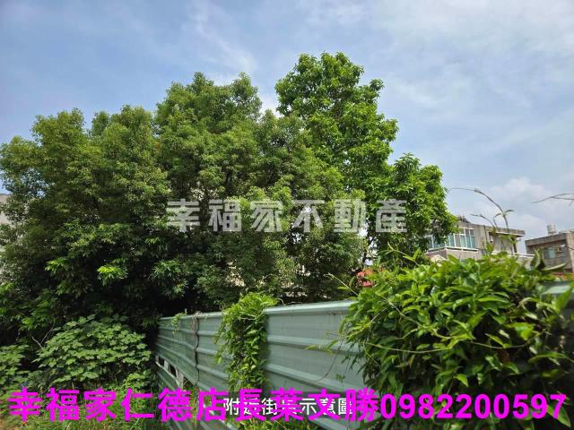 台南仁德建地-1