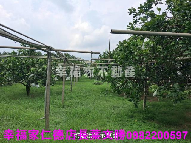 台南麻豆農地-2