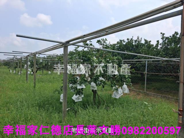 台南麻豆農地-5