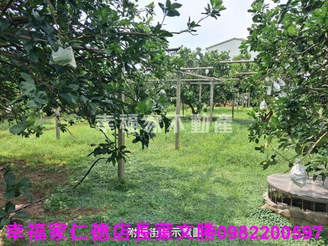 台南麻豆農地-6