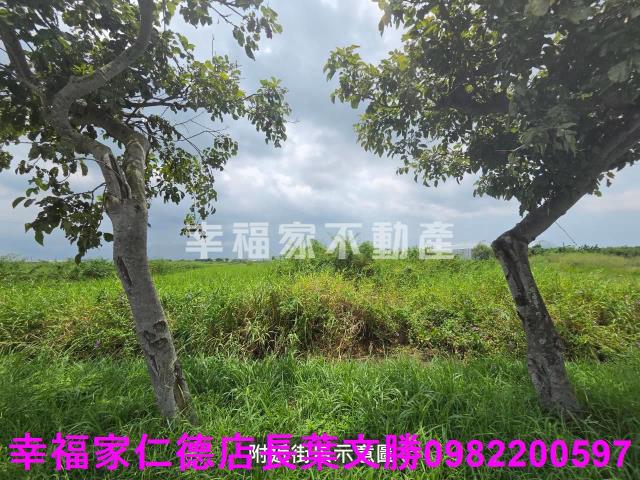 台南七股農地-8