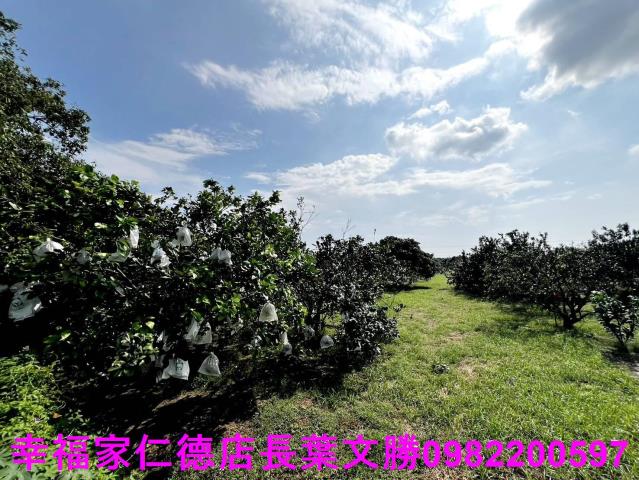 台南佳里農地-3