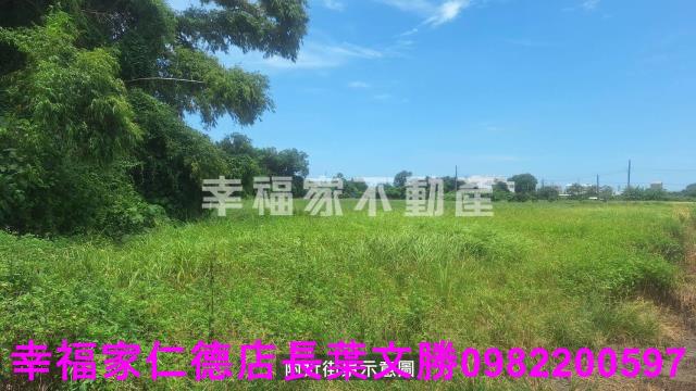 台南西港農地-14
