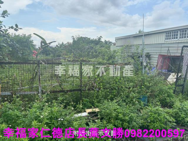 台南西港農地-13