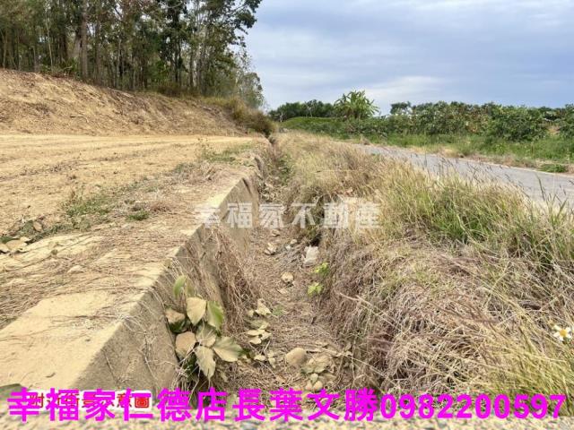 台南玉井農地-11