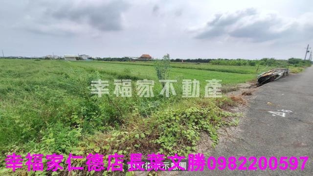 麻豆農地-13