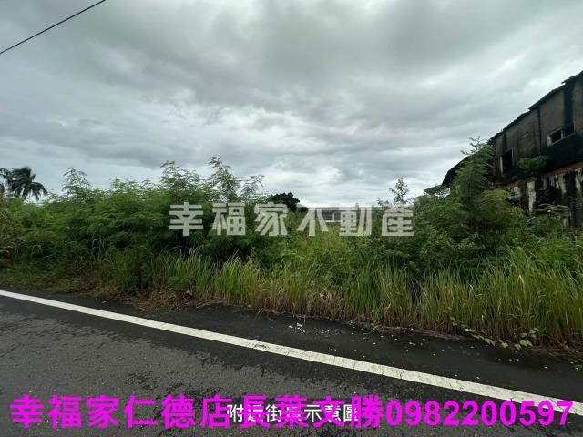 台南善化工業地-1
