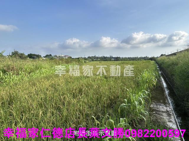 新化農地-14