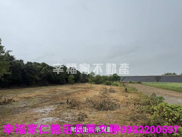 台南東山農地-11