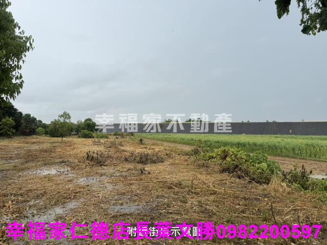 台南東山農地-3