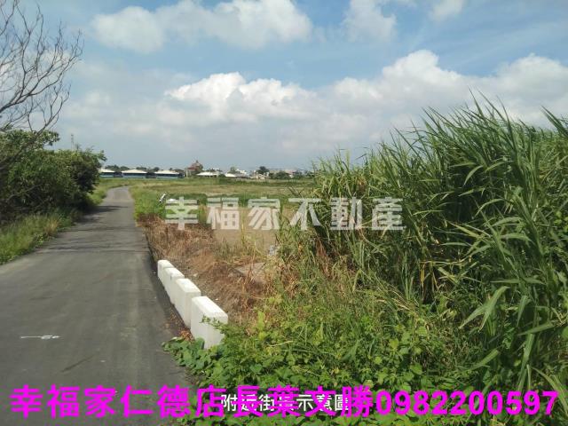 佳里農地-10