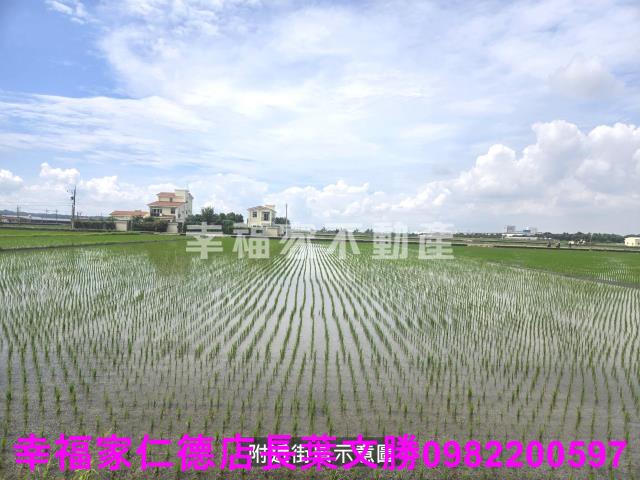 柳營農地-13