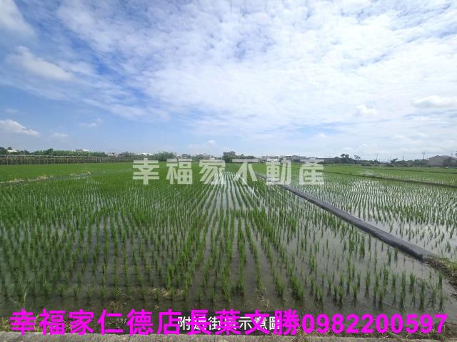 柳營農地-2