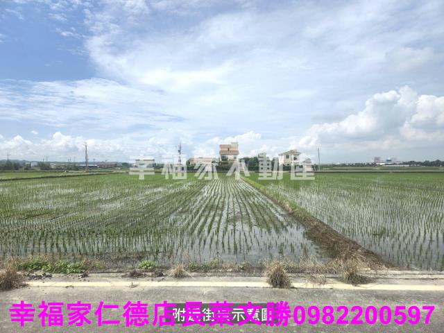 柳營農地-3
