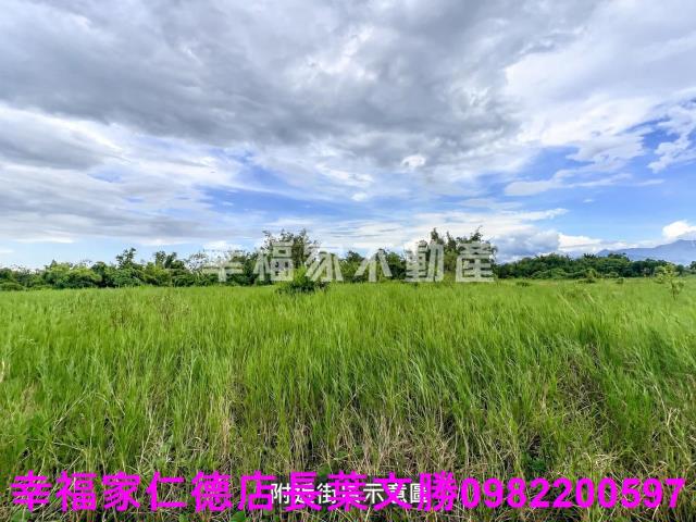 東山農地-10