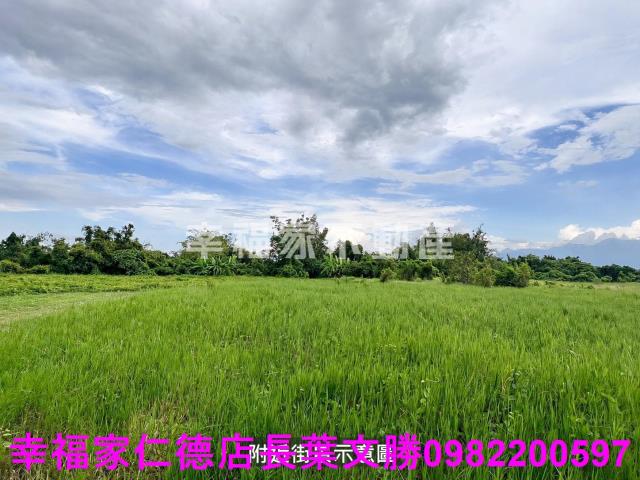 東山農地-2