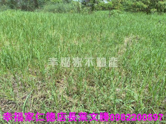永康農地-2