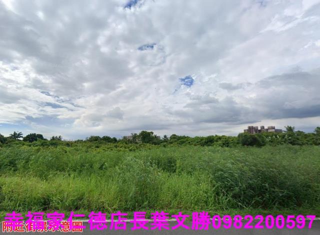 歸仁農地-12