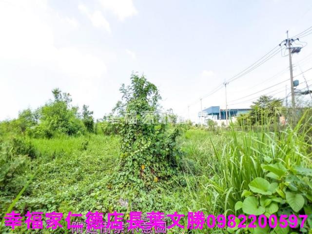 台南麻豆工業地-1