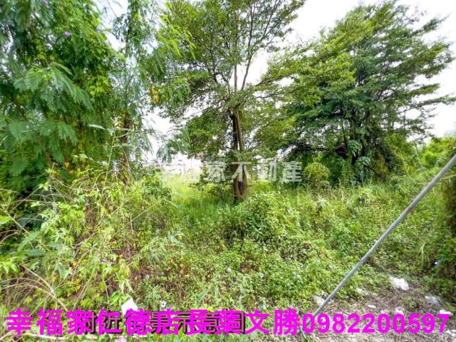 台南麻豆工業地-4