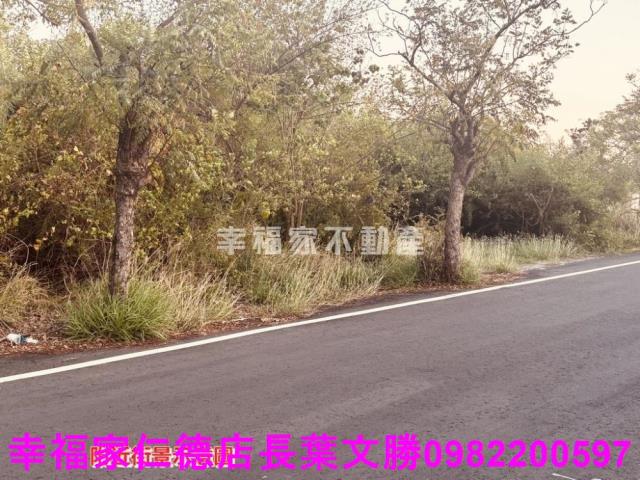 台南新營工業地-1